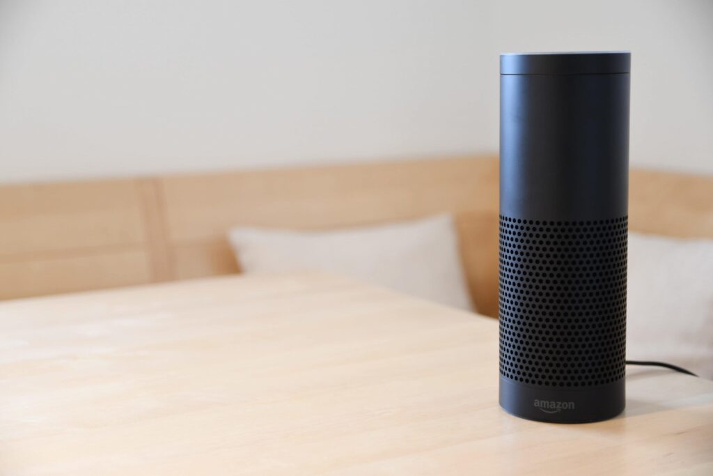voice assistant