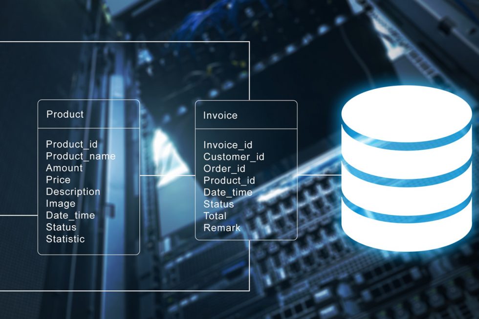 Database